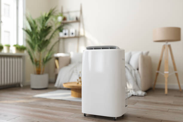 Best VRF (Variable Refrigerant Flow) Systems in Oldsmar, FL